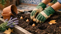 O que plantar em outubro para ter um jardim bonito no inverno e na primavera